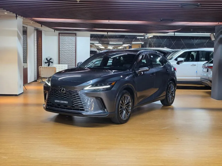 Lexus RX — фото 1