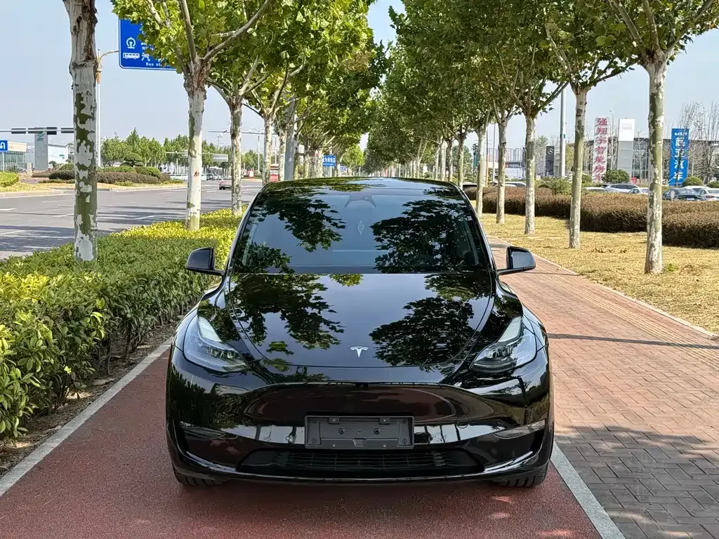 Tesla Model Y — фото 8