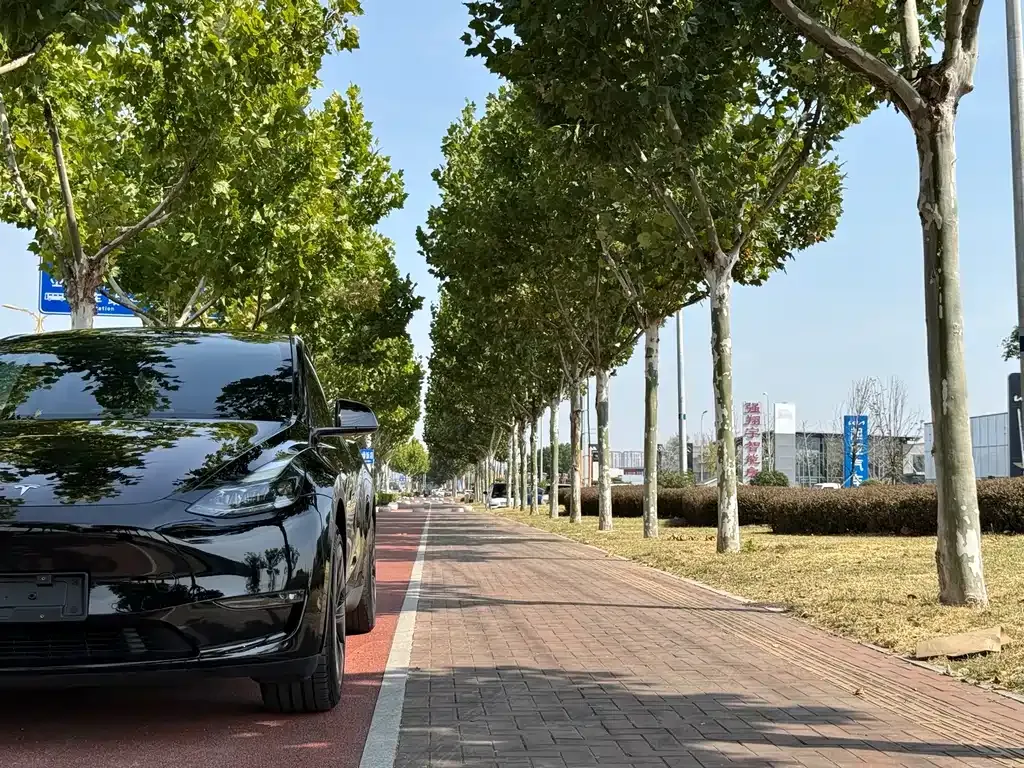 Tesla Model Y — фото 6