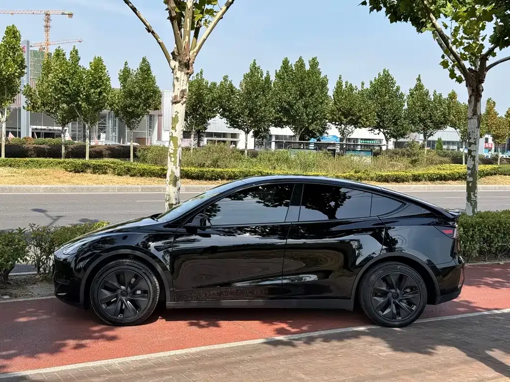 Tesla Model Y — фото 9