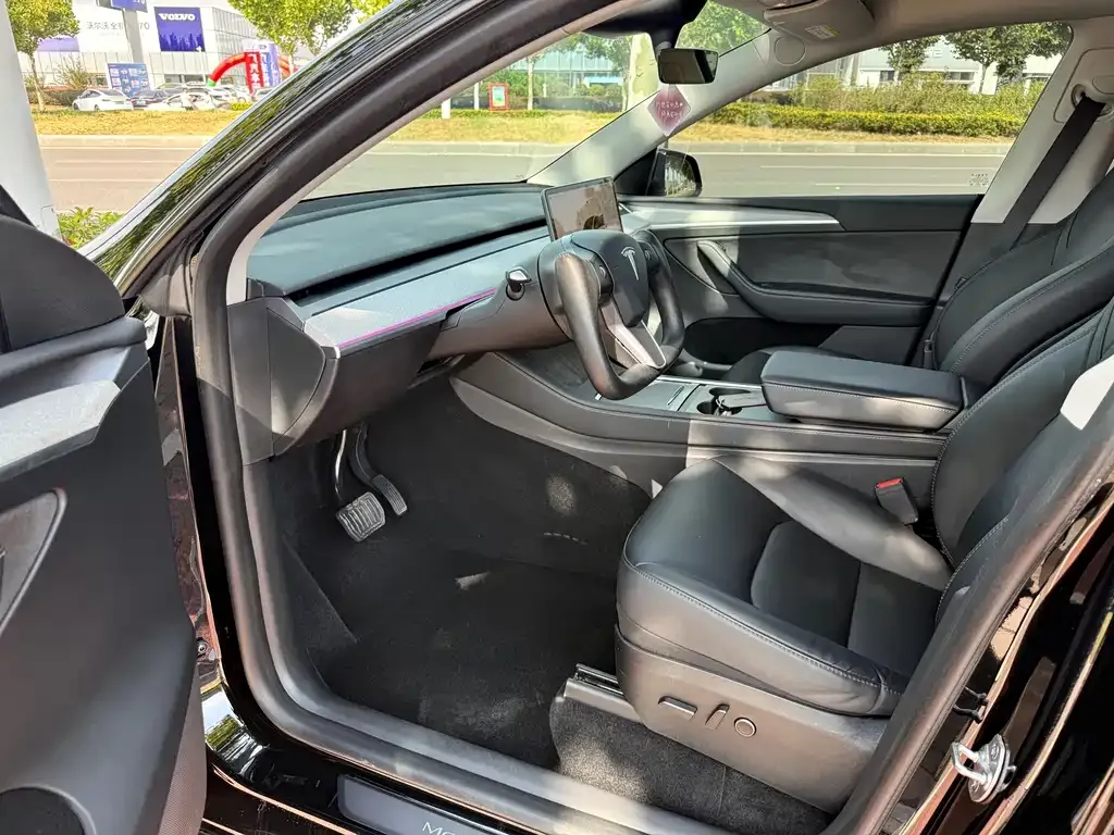 Tesla Model Y — фото 2
