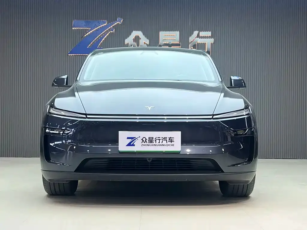 Tesla Model Y — фото 2