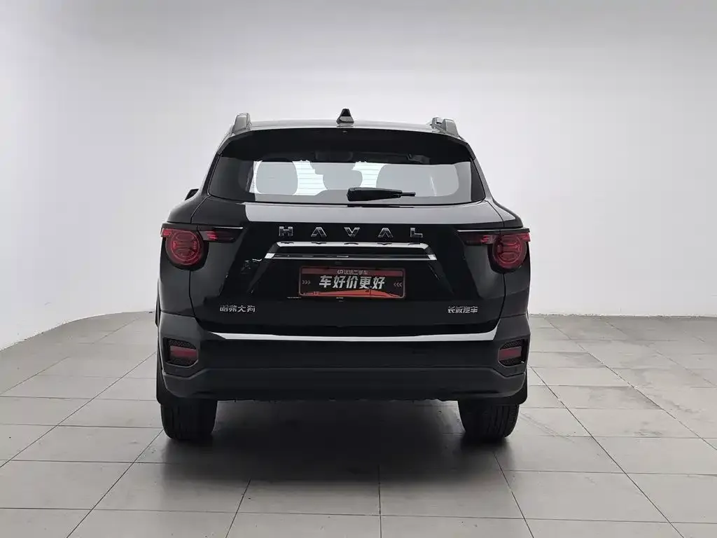 Haval Big Dog PLUS — фото 8