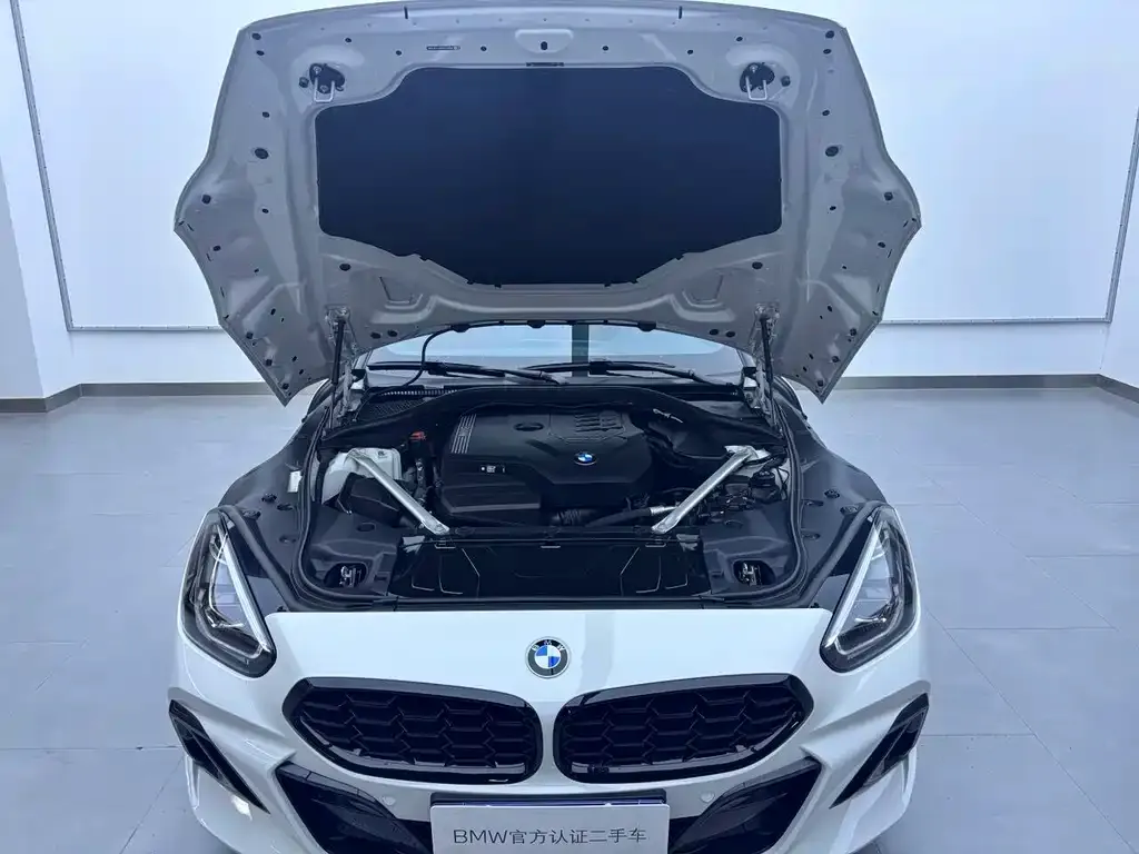 BMW Z4 — фото 10