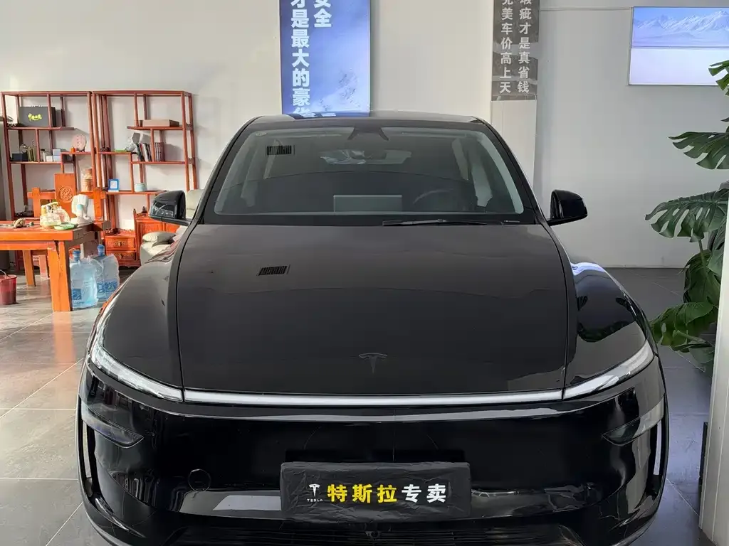 Tesla Model Y — фото 2