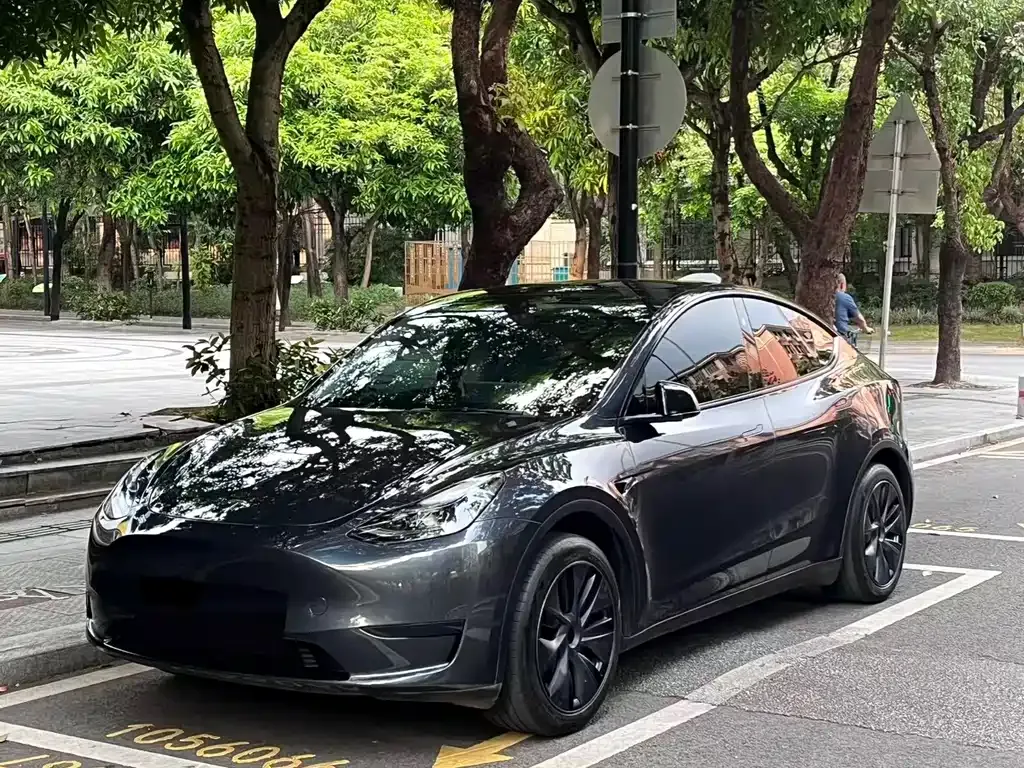 Tesla Model Y — фото 1