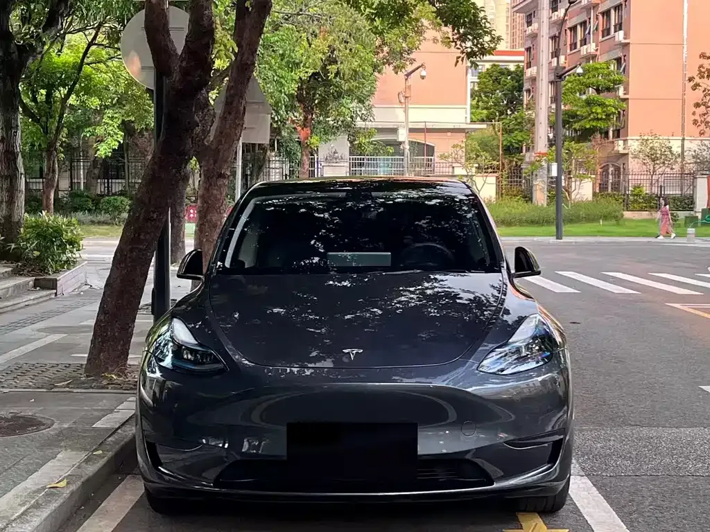 Tesla Model Y — фото 9