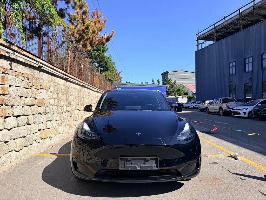 Tesla Model Y — фото 6