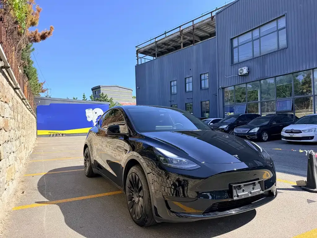 Tesla Model Y — фото 8