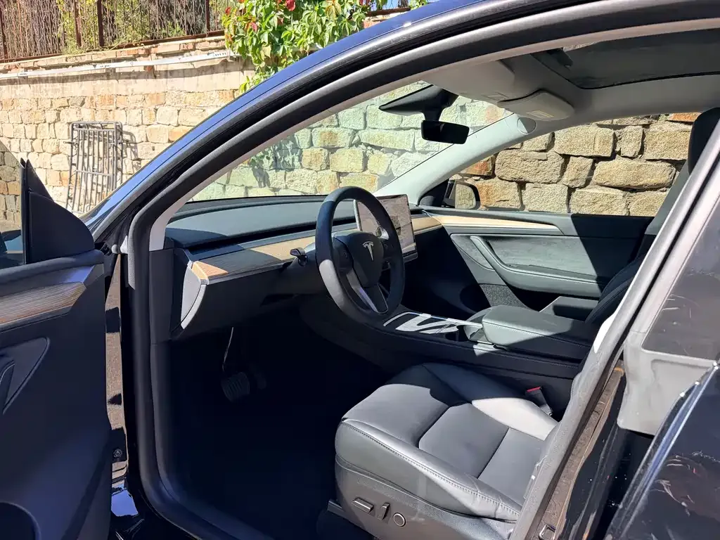 Tesla Model Y — фото 9