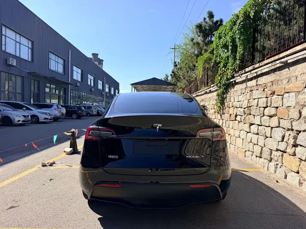 Tesla Model Y — фото 3