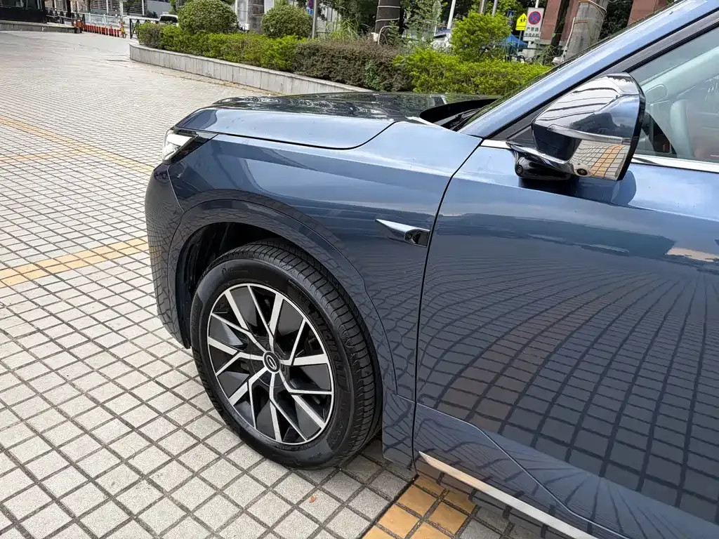 GAC Motor Trumpchi Xiangwang S9 — фото 8