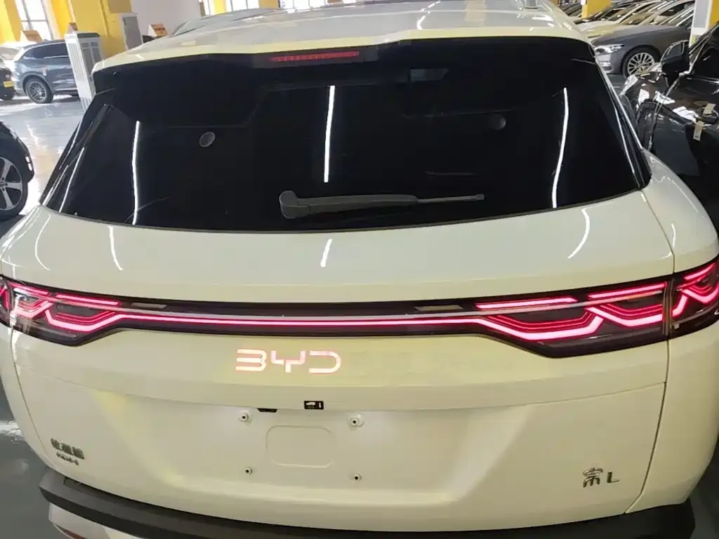 BYD L DM-i — фото 7