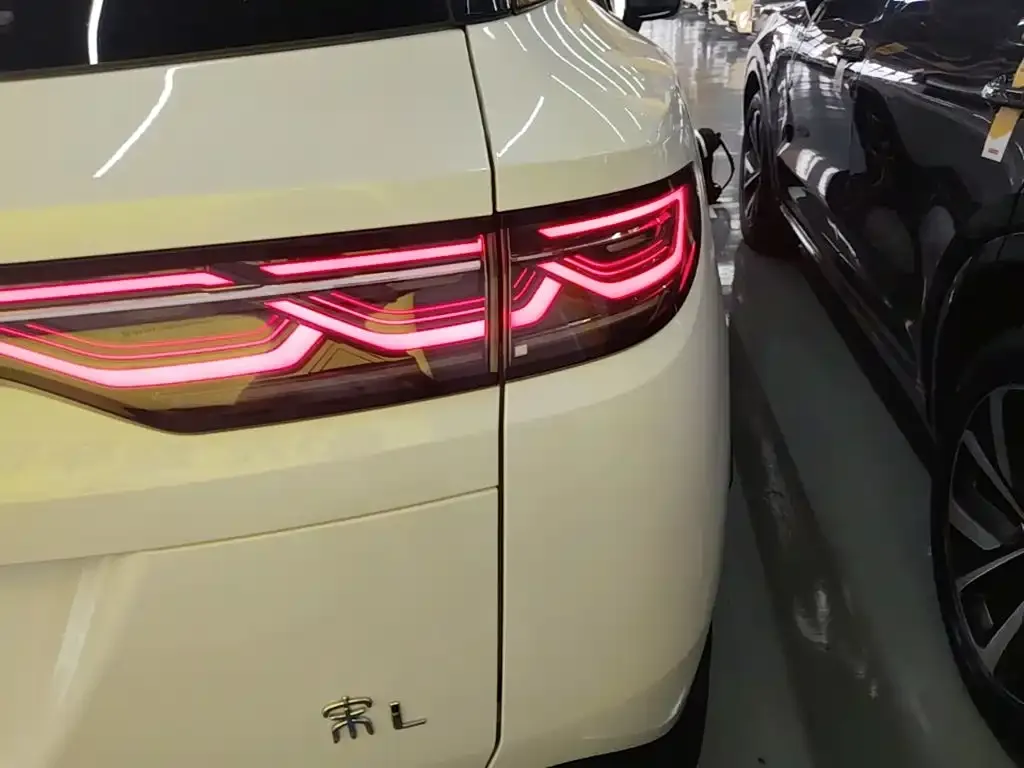 BYD L DM-i — фото 2