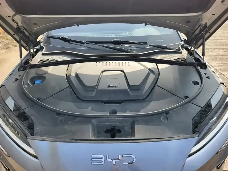 BYD PLUS New Energy — фото 2