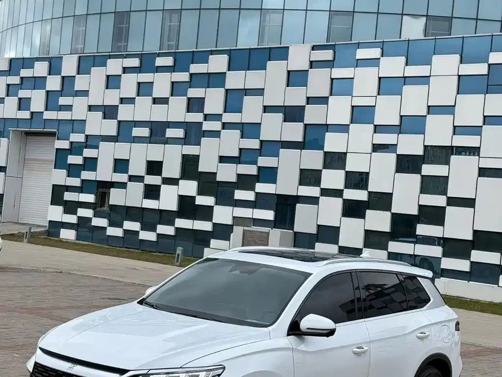 BYD Pro New Energy — фото 7