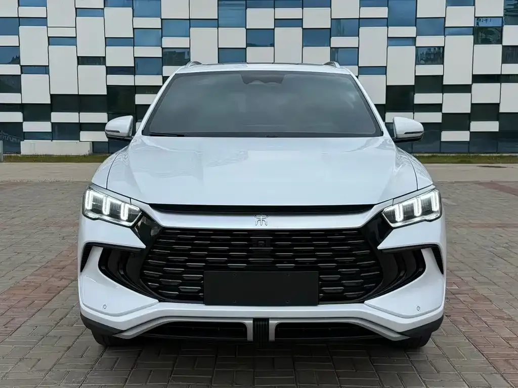 BYD Pro New Energy — фото 4