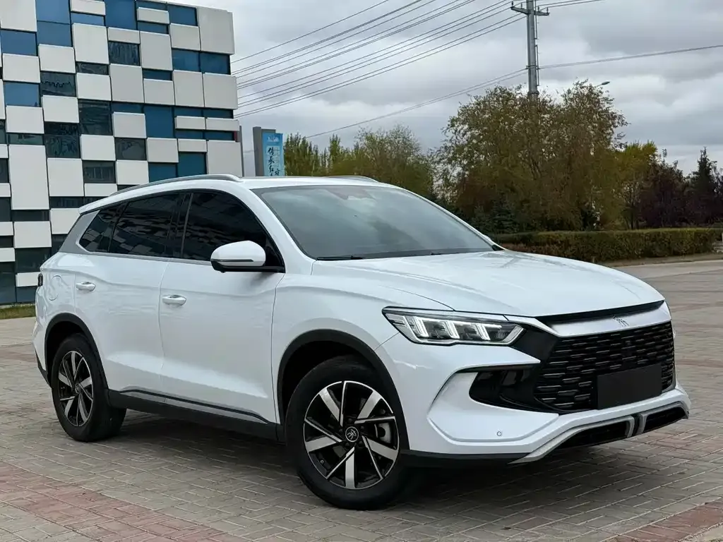 BYD Pro New Energy — фото 6
