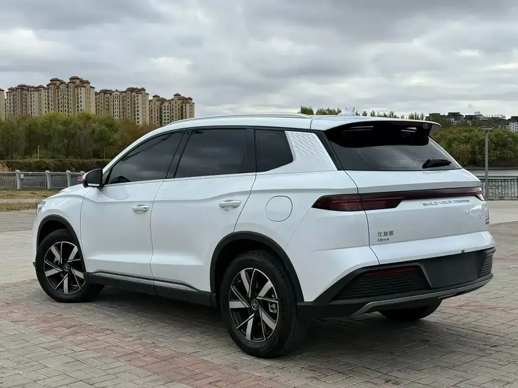 BYD Pro New Energy — фото 2