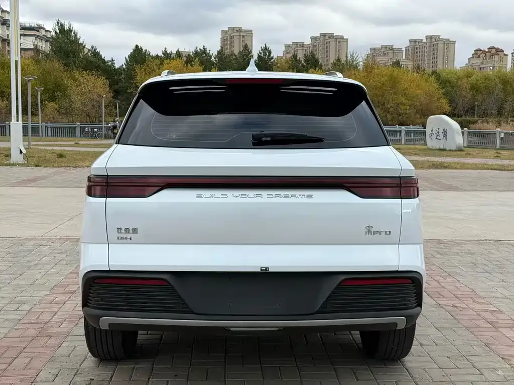 BYD Pro New Energy — фото 9
