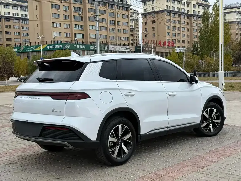 BYD Pro New Energy — фото 10