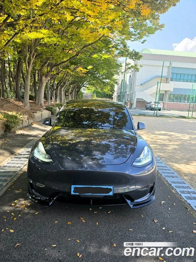 Tesla Model Y — фото 1