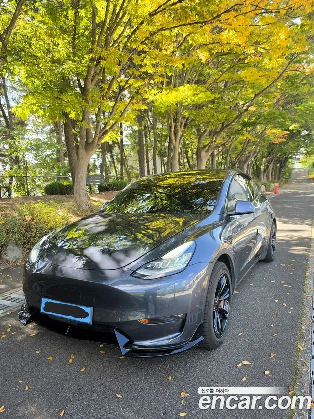 Tesla Model Y — фото 9