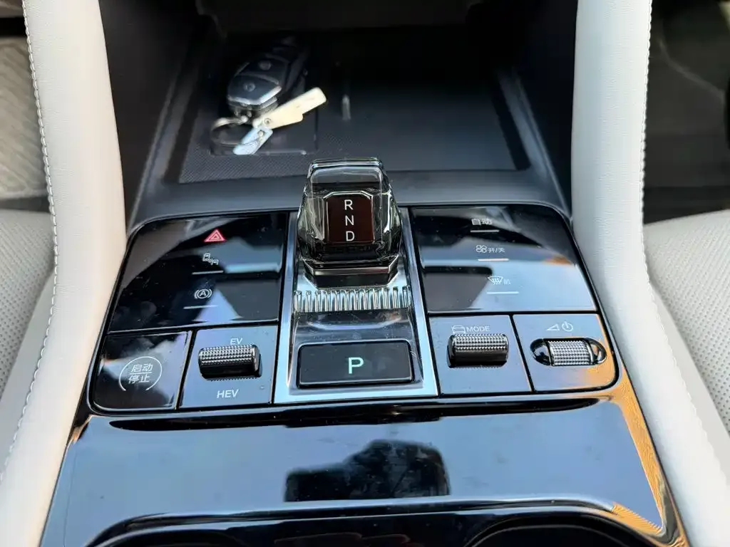 BYD PLUS New Energy — фото 10