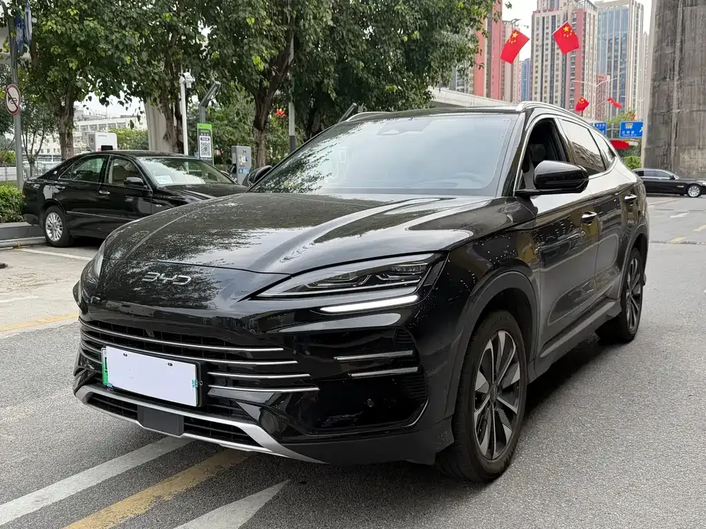 BYD PLUS New Energy — фото 1