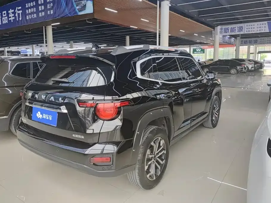 Haval Big Dog PLUS — фото 8