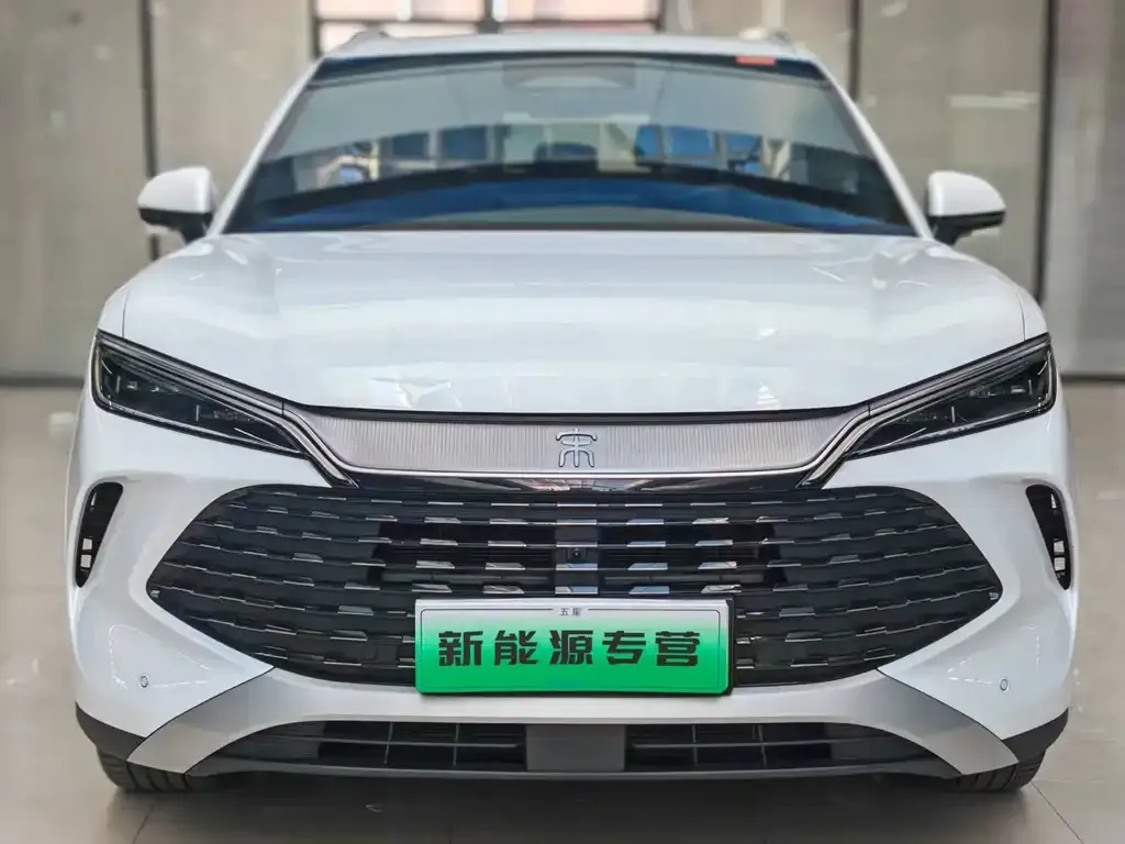 BYD L DM-i — фото 1