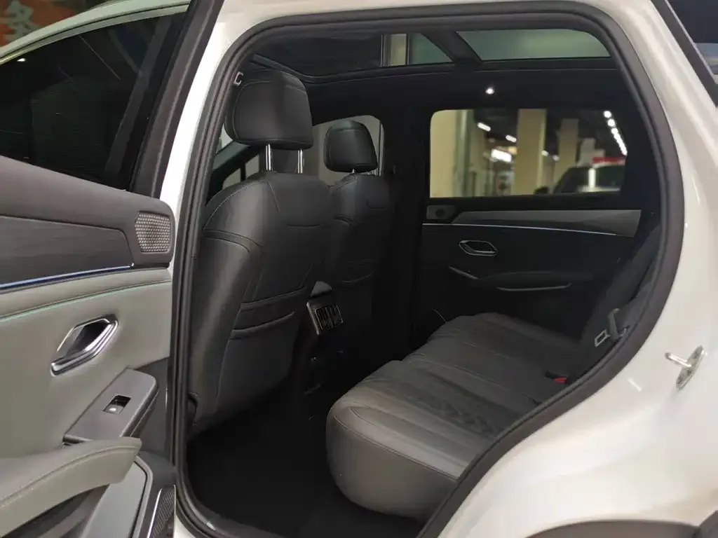 BYD L DM-i — фото 2