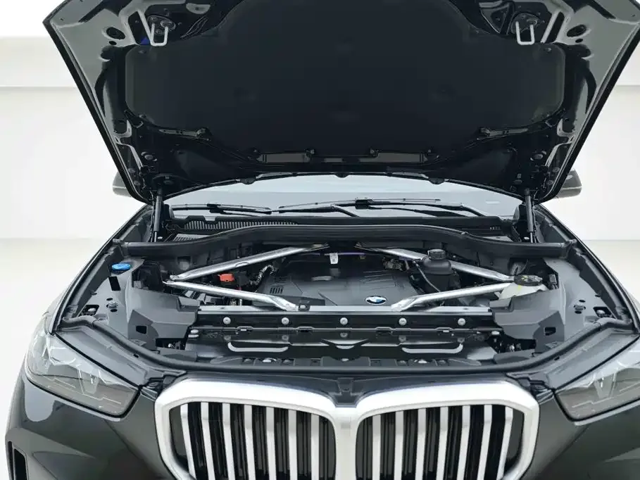 BMW X5 — фото 10