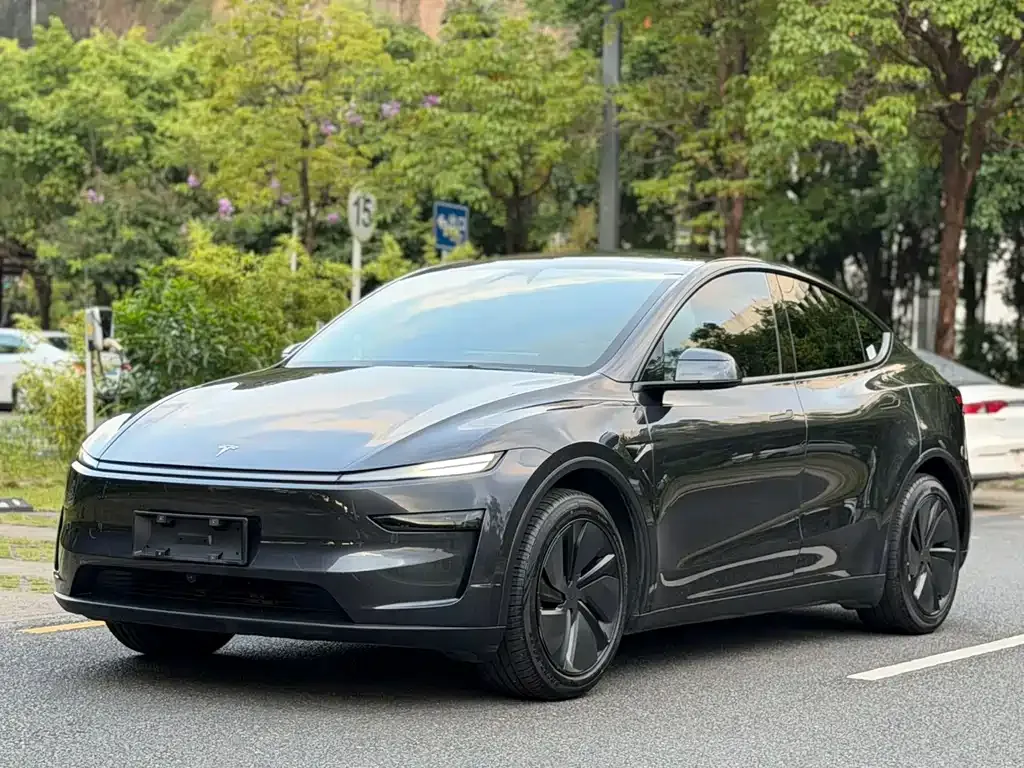 Tesla Model Y — фото 9