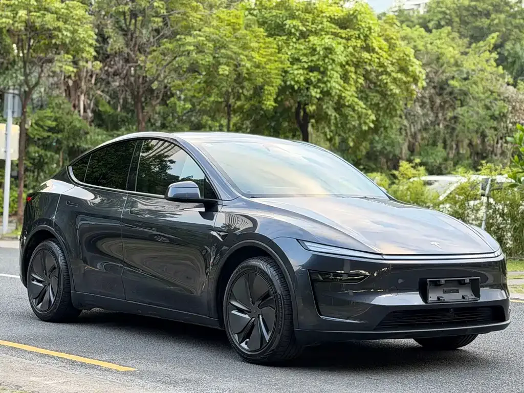 Tesla Model Y — фото 8