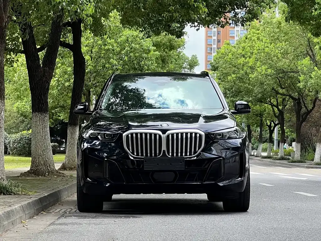 BMW X5 — фото 5