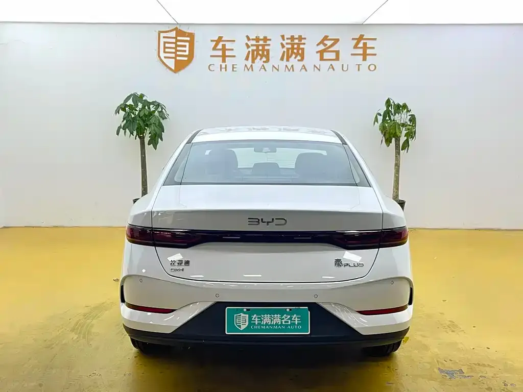 BYD Qin PLUS — фото 2