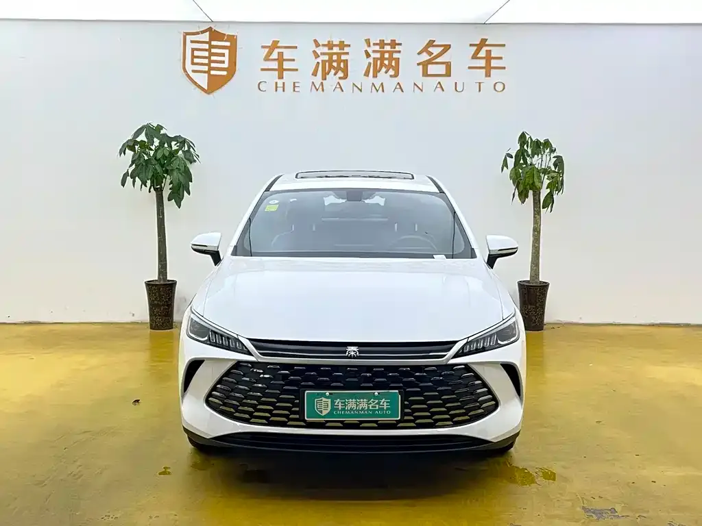 BYD Qin PLUS — фото 6