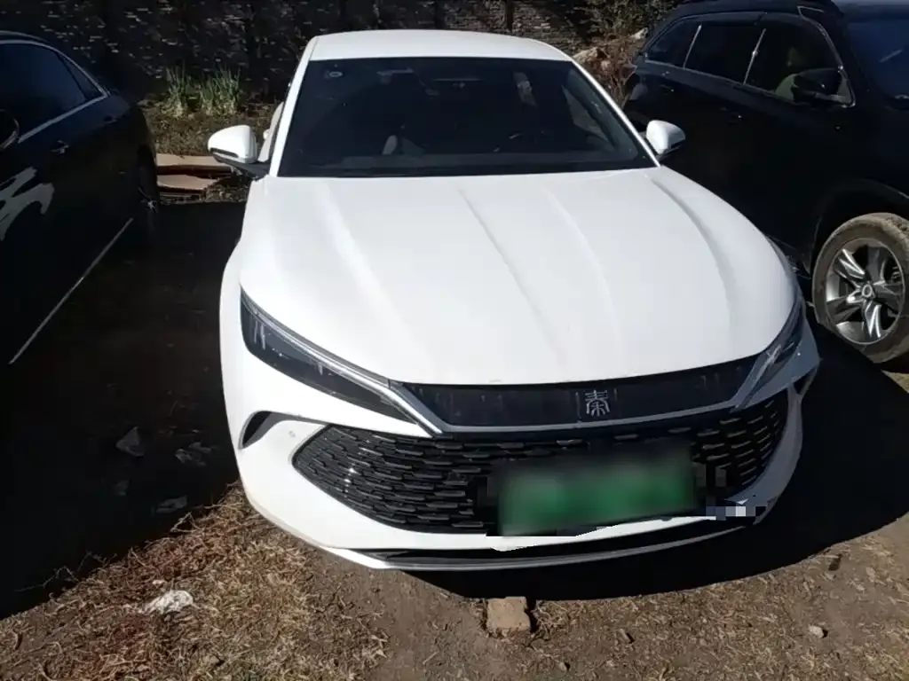 BYD Qin L — фото 10