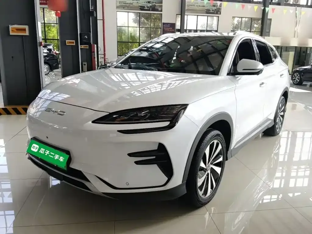BYD PLUS New Energy — фото 1