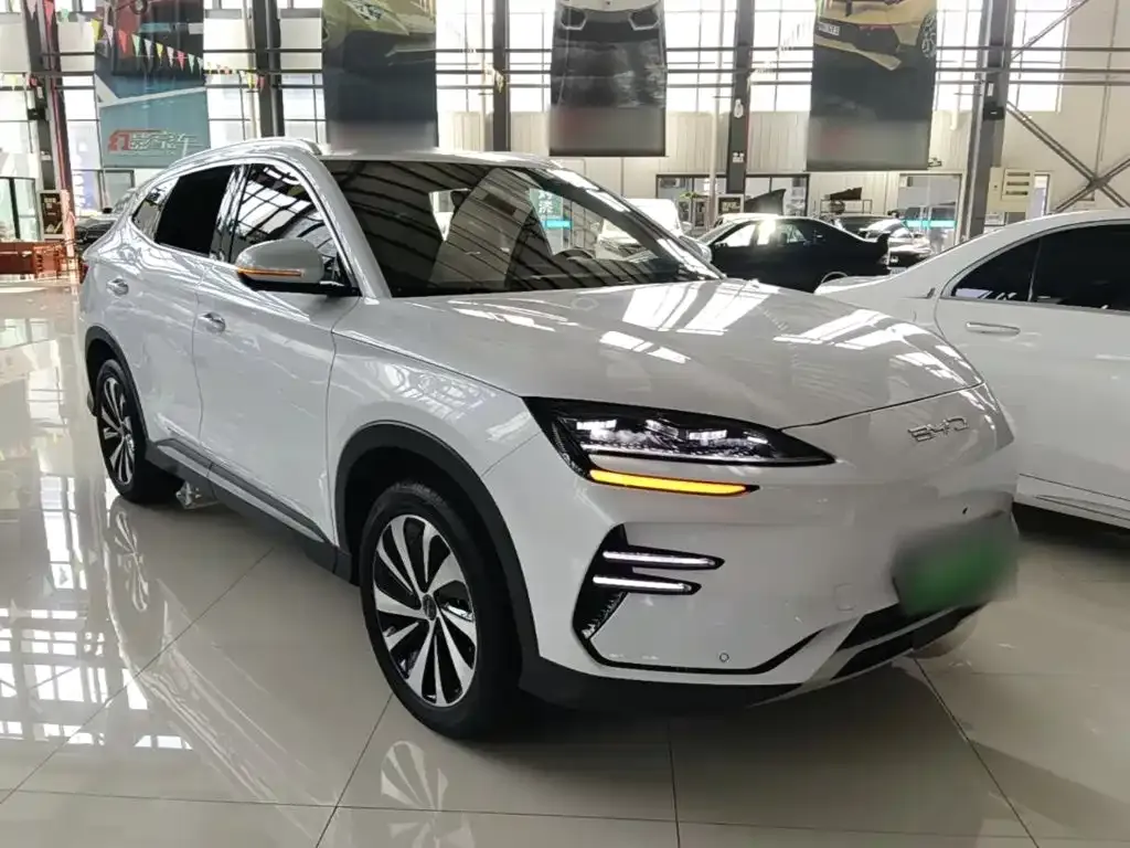 BYD PLUS New Energy — фото 4