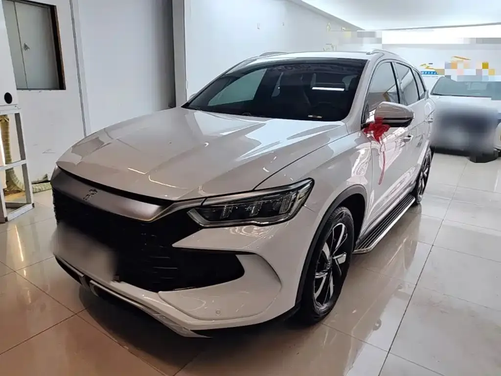 BYD Pro New Energy — фото 5