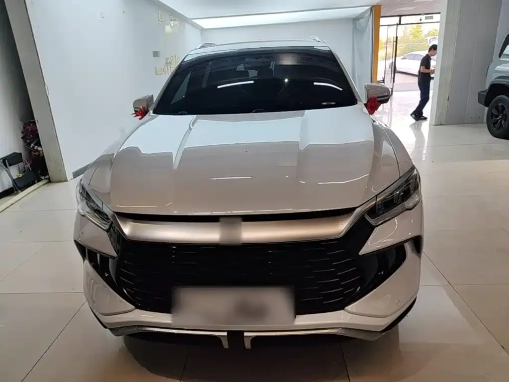BYD Pro New Energy — фото 2