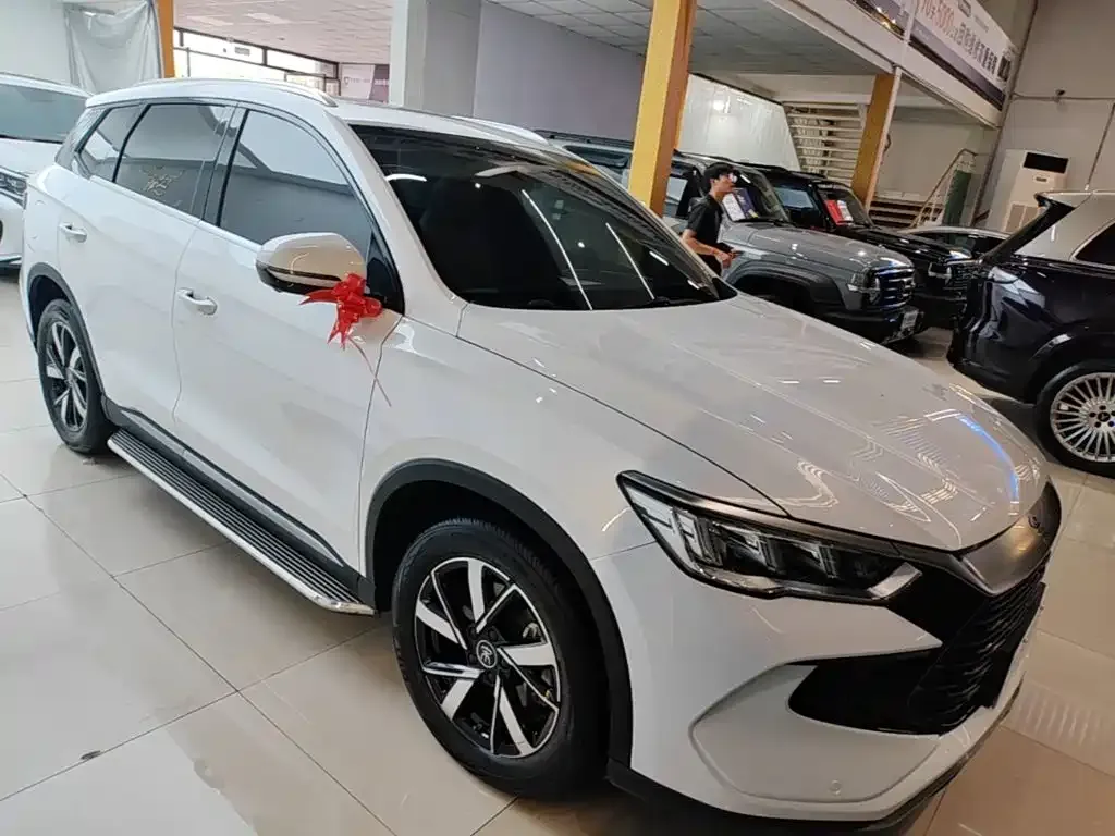 BYD Pro New Energy — фото 7