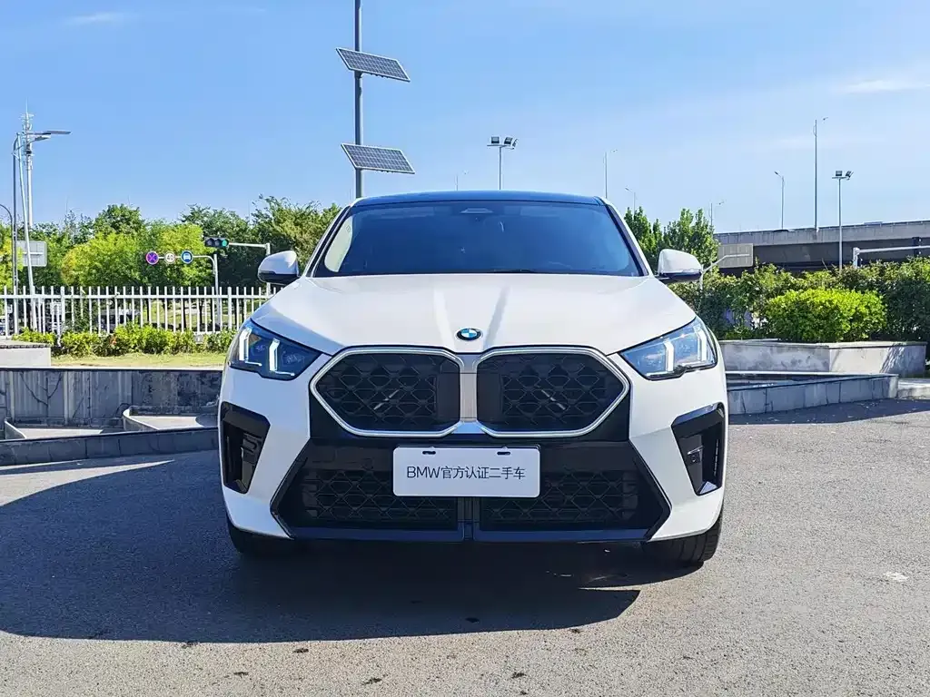 BMW X2 (Import) — фото 8