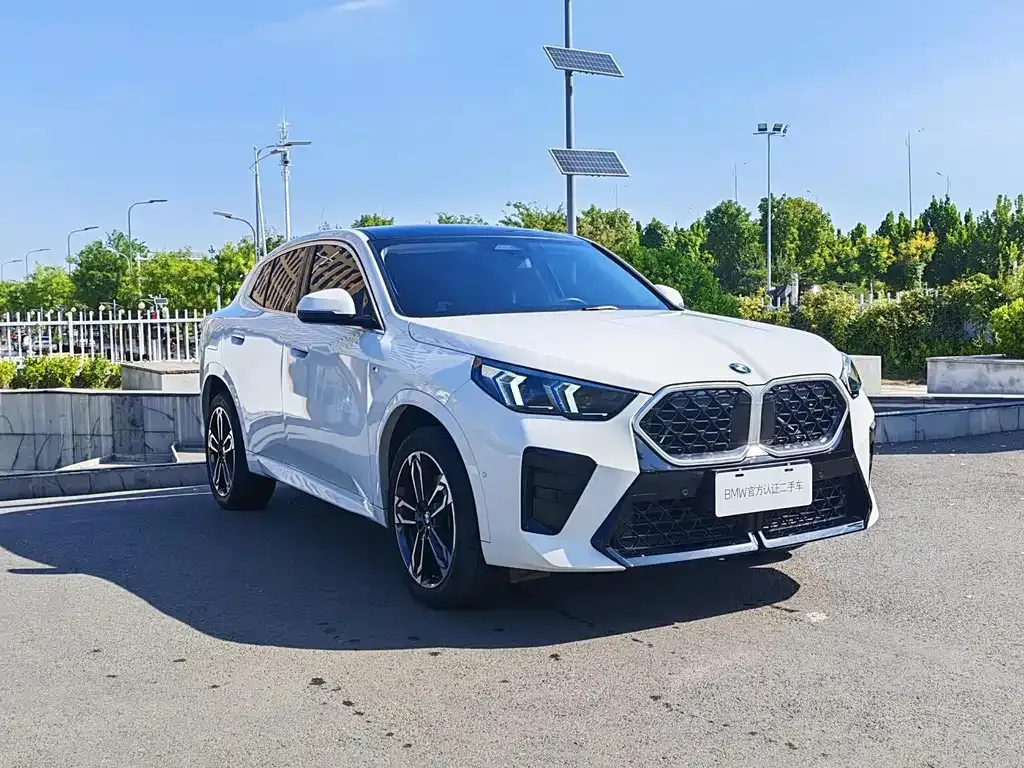 BMW X2 (Import) — фото 10