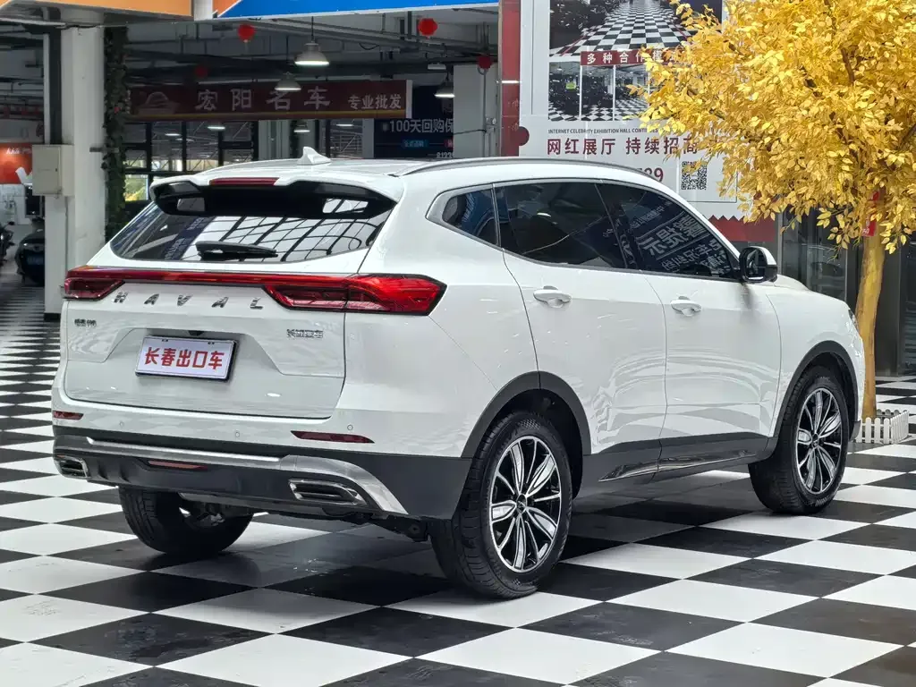 Haval H6 — фото 5