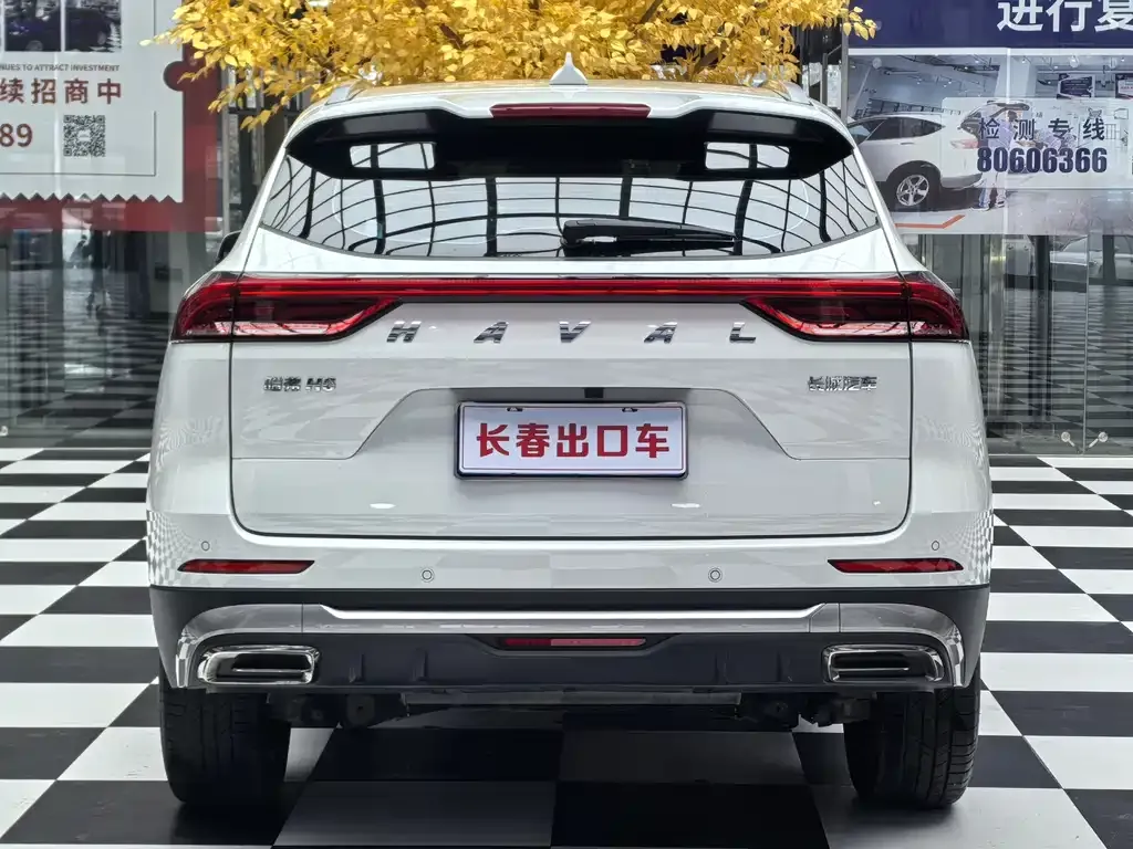 Haval H6 — фото 9