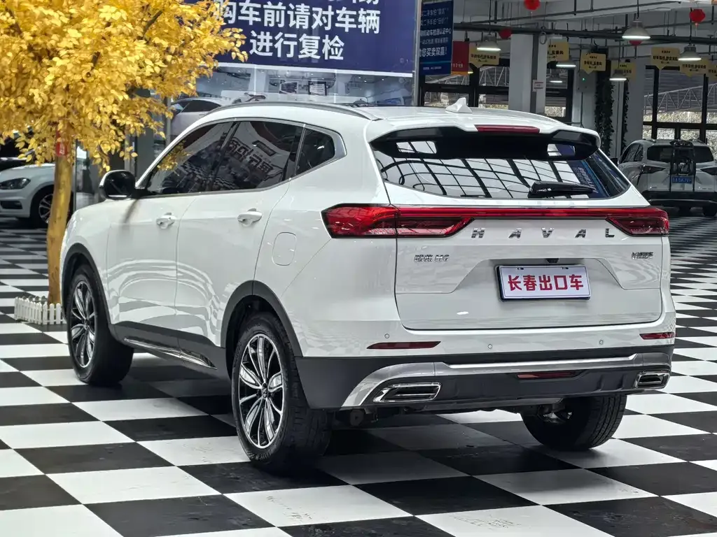 Haval H6 — фото 7