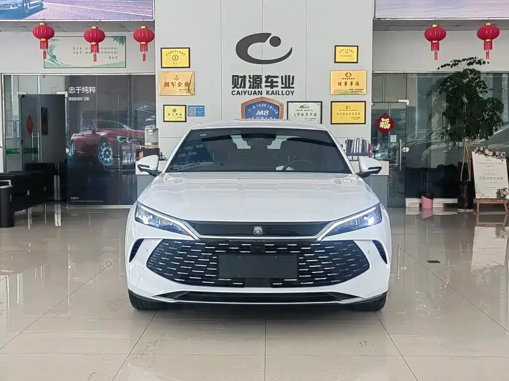 BYD Qin L — фото 10